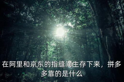 在阿里和京東的指縫間生存下來，拼多多靠的是什么