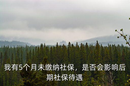 我有5個(gè)月未繳納社保，是否會影響后期社保待遇