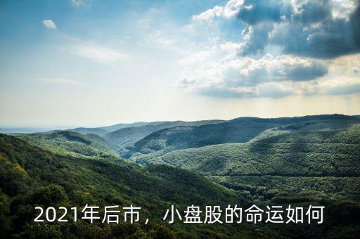 2021年后市，小盤股的命運(yùn)如何