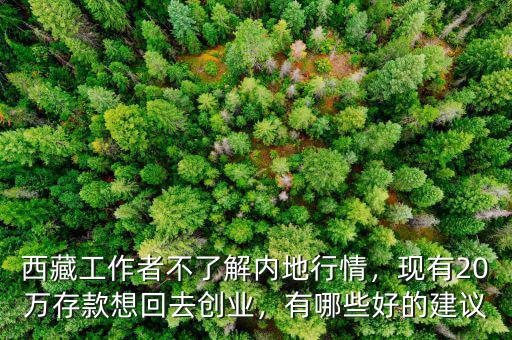 西藏工作者不了解內(nèi)地行情，現(xiàn)有20萬存款想回去創(chuàng)業(yè)，有哪些好的建議