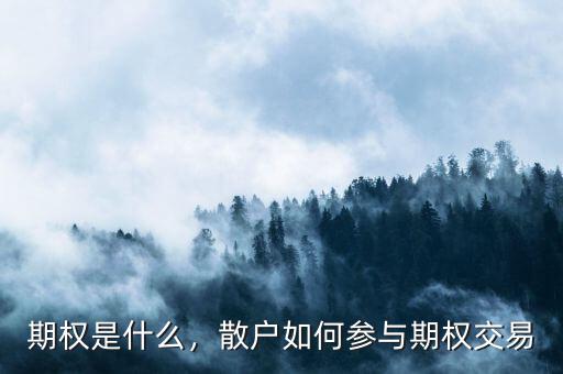 期權(quán)是什么，散戶如何參與期權(quán)交易