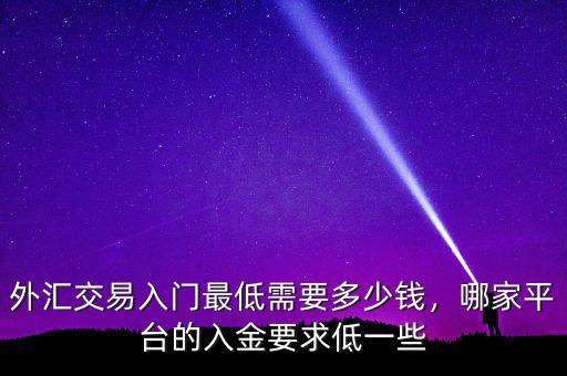 外匯交易入門(mén)最低需要多少錢(qián)，哪家平臺(tái)的入金要求低一些