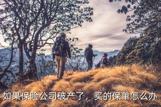 如果保險(xiǎn)公司破產(chǎn)了，買的保單怎么辦