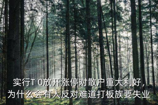 實(shí)行T 0放開漲停對(duì)散戶重大利好，為什么會(huì)有人反對(duì)難道打板族要失業(yè)