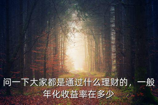 問一下大家都是通過什么理財(cái)?shù)?，一般年化收益率在多? class=