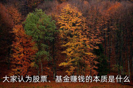 大家認(rèn)為股票、基金賺錢的本質(zhì)是什么