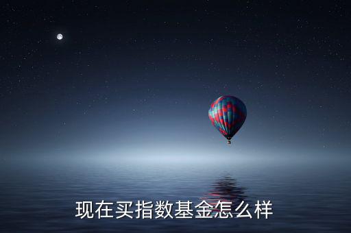 現(xiàn)在買(mǎi)指數(shù)基金怎么樣