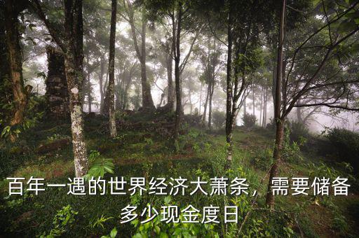 百年一遇的世界經(jīng)濟大蕭條，需要儲備多少現(xiàn)金度日
