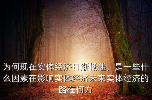 為何現(xiàn)在實(shí)體經(jīng)濟(jì)日漸低迷，是一些什么因素在影響實(shí)體經(jīng)濟(jì)未來實(shí)體經(jīng)濟(jì)的路在何方