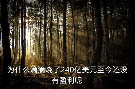 滴滴為什么燒錢(qián),為什么滴滴還在虧損