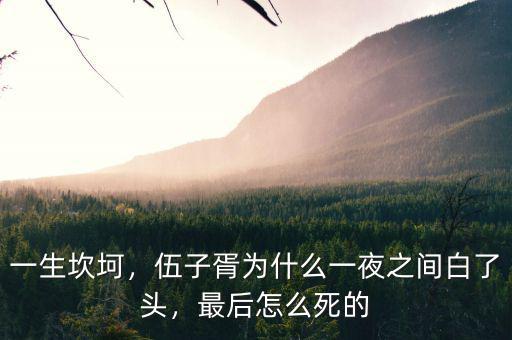 一生坎坷，伍子胥為什么一夜之間白了頭，最后怎么死的