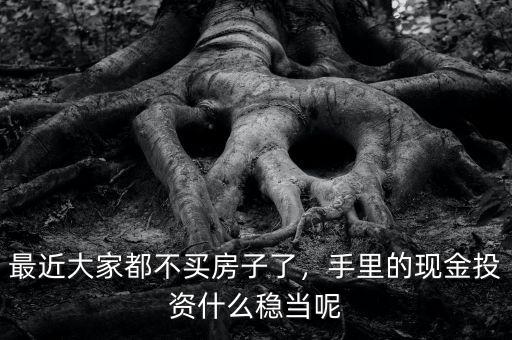 最近大家都不買房子了，手里的現(xiàn)金投資什么穩(wěn)當(dāng)呢