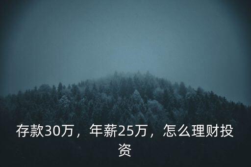 存款30萬，年薪25萬，怎么理財投資