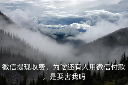 微信提現(xiàn)收費，為啥還有人用微信付款，是要害我嗎