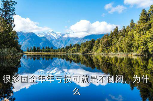 很多國企年年虧損可就是不倒閉，為什么