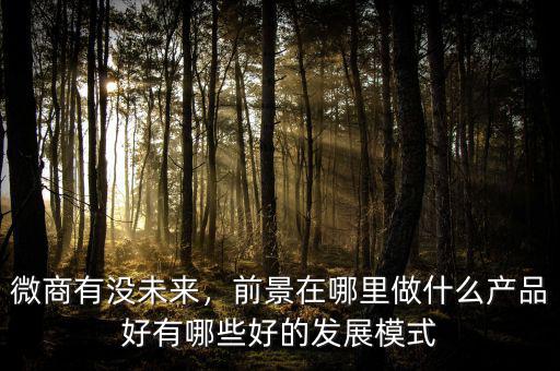 微商有沒未來，前景在哪里做什么產(chǎn)品好有哪些好的發(fā)展模式