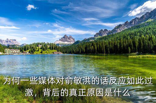 為何一些媒體對俞敏洪的話反應(yīng)如此過激，背后的真正原因是什么