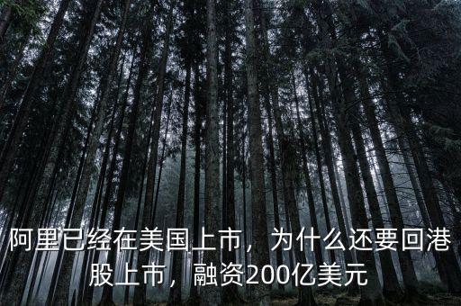 阿里已經(jīng)在美國(guó)上市，為什么還要回港股上市，融資200億美元