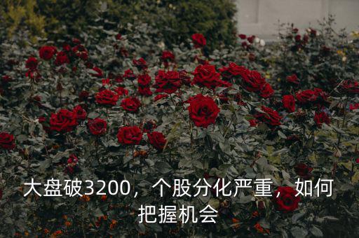大盤(pán)破3200，個(gè)股分化嚴(yán)重，如何把握機(jī)會(huì)