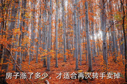 房子漲了多少，才適合再次轉(zhuǎn)手賣(mài)掉