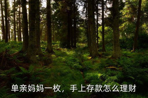 單親媽媽一枚，手上存款怎么理財