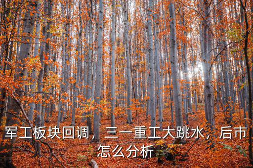 軍工板塊回調(diào)，三一重工大跳水，后市怎么分析