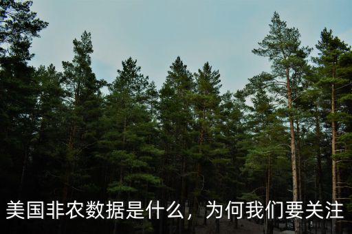 美國(guó)非農(nóng)數(shù)據(jù)是什么，為何我們要關(guān)注