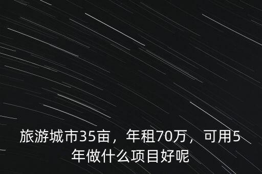 旅游城市35畝，年租70萬，可用5年做什么項目好呢