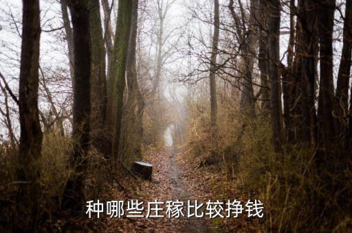 種哪些莊稼比較掙錢(qián)