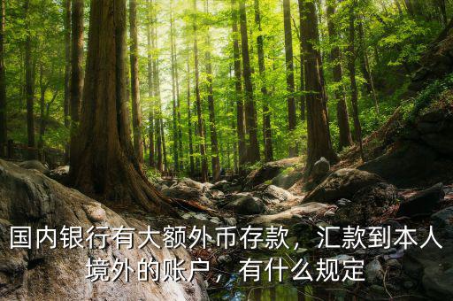 往國(guó)外大額匯款怎么匯,匯款到本人境外的賬戶(hù)
