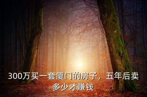 300萬(wàn)買(mǎi)一套廈門(mén)的房子，五年后賣(mài)多少才賺錢(qián)