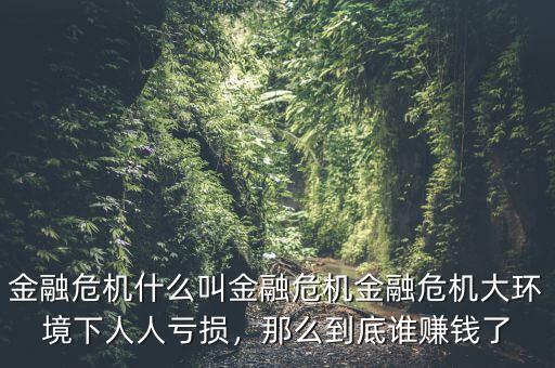 金融危機什么叫金融危機金融危機大環(huán)境下人人虧損，那么到底誰賺錢了