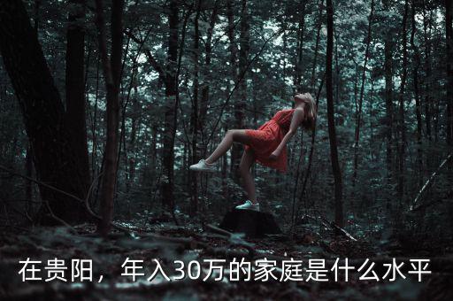 在貴陽，年入30萬的家庭是什么水平