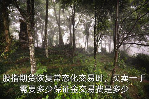 股指期貨恢復常態(tài)化交易時，買賣一手需要多少保證金交易費是多少