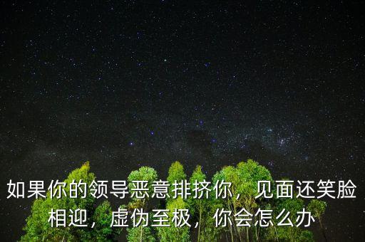 如果你的領導惡意排擠你，見面還笑臉相迎，虛偽至極，你會怎么辦