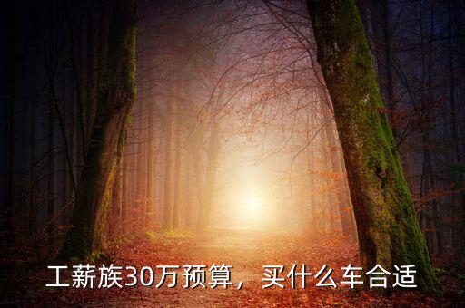 工薪族30萬預(yù)算，買什么車合適