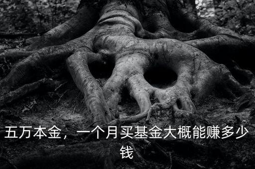 基金能賺多少,基金買(mǎi)入20元能賺多少