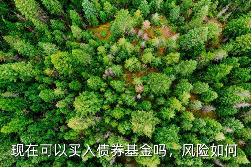 現(xiàn)在可以買入債券基金嗎，風(fēng)險如何