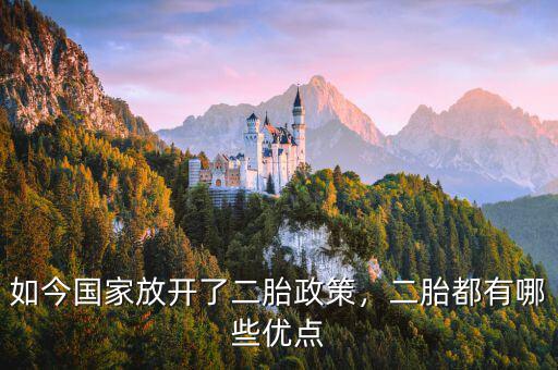 如今國(guó)家放開(kāi)了二胎政策，二胎都有哪些優(yōu)點(diǎn)