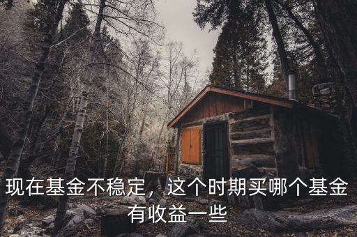 現(xiàn)在基金不穩(wěn)定，這個(gè)時(shí)期買哪個(gè)基金有收益一些