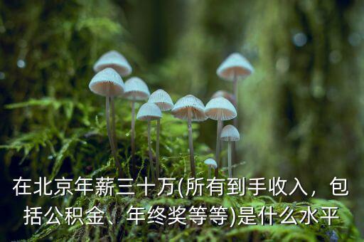 在北京年薪三十萬(所有到手收入，包括公積金、年終獎等等)是什么水平