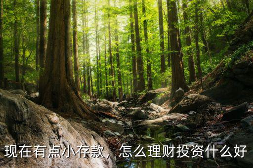 現(xiàn)在有點小存款，怎么理財投資什么好