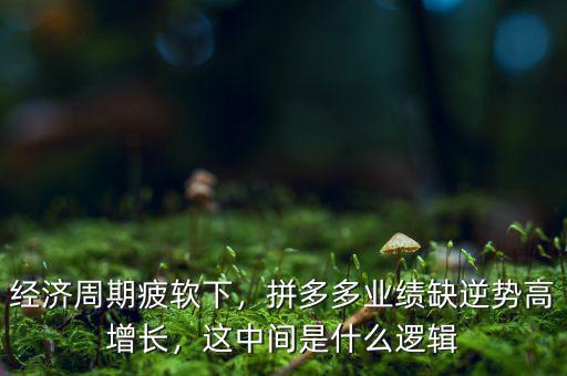 經(jīng)濟(jì)周期疲軟下，拼多多業(yè)績?nèi)蹦鎰莞咴鲩L，這中間是什么邏輯