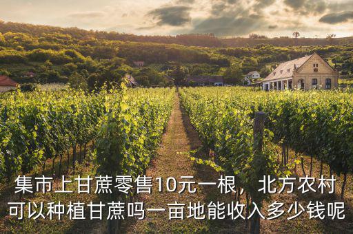 集市上甘蔗零售10元一根，北方農(nóng)村可以種植甘蔗嗎一畝地能收入多少錢呢