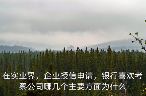 在實(shí)業(yè)界，企業(yè)授信申請(qǐng)，銀行喜歡考察公司哪幾個(gè)主要方面為什么