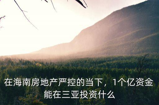 在海南房地產(chǎn)嚴(yán)控的當(dāng)下，1個(gè)億資金能在三亞投資什么