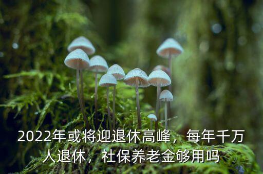 2022年或?qū)⒂诵莞叻?，每年千萬(wàn)人退休，社保養(yǎng)老金夠用嗎