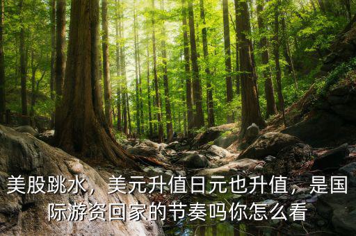 美股跳水，美元升值日元也升值，是國際游資回家的節(jié)奏嗎你怎么看