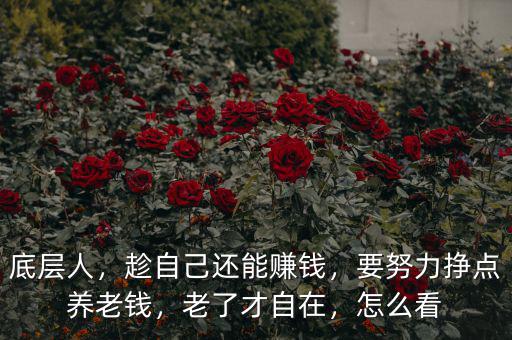 底層人，趁自己還能賺錢(qián)，要努力掙點(diǎn)養(yǎng)老錢(qián)，老了才自在，怎么看