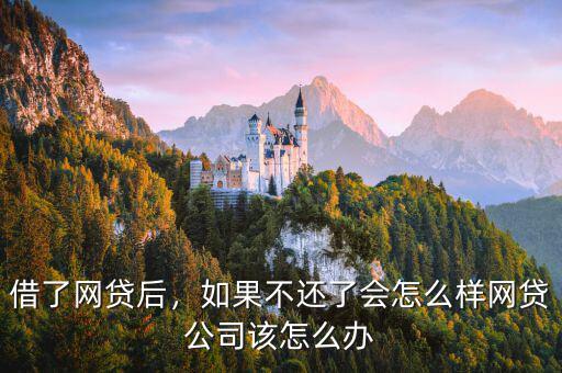 借了網貸后，如果不還了會怎么樣網貸公司該怎么辦